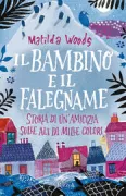 Copertina libro <b>Il bambino e il falegname<br></b>(titolo originale o altro titolo: <i>The boy, the bird and the coffin maker</i>)
