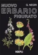 Copertina libro <b>Nuovo erbario figurato</b>