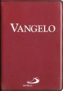 Copertina libro 9788821528491