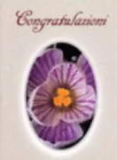 Copertina libro CONGRATULAZIONI