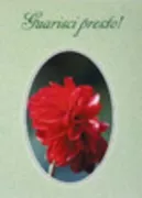 Copertina libro GUARISCI PRESTO!