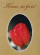 Copertina libro NONNO SEI FORTE!