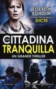 Copertina libro <b>Una cittadina tranquilla<br></b>(titolo originale o altro titolo: <i>Skjulte fejl og mangler</i>)