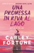 Copertina libro <b>Una promessa in riva al lago<br></b>(titolo originale o altro titolo: <i>Meet me at the lake</i>)