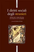 Copertina libro <b>I diritti sociali degli stranieri</b>