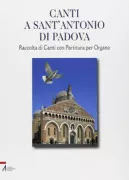 Copertina libro 9788825024364