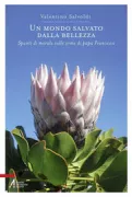 Copertina libro 9788825047714