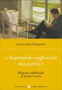 Copertina libro <b>«Aspettando cogli occhi una parola»</b>