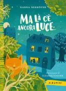 Copertina libro <b>Ma là c'è ancora luce ..<br></b>(titolo originale o altro titolo: <i>Da Ist noch Licht</i>)