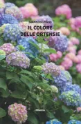 Copertina libro 9788830606807
