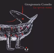 Copertina libro <b>La specie storta</b>