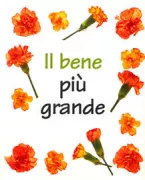 Copertina libro 9788831530491