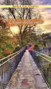 Copertina libro 9788831536424