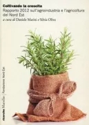 Copertina libro 9788831713948