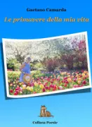 Copertina libro 9788832187038