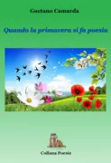 Copertina libro 9788832187045