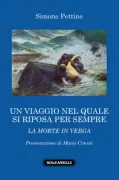 Copertina libro <b>Un viaggio nel quale si riposa per sempre</b>