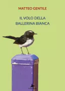 Copertina libro 9788833610573