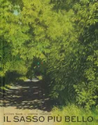 Copertina libro <b>Il sasso più bello</b>