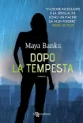 Copertina libro <b>Dopo la tempesta<br></b>(titolo originale o altro titolo: <i>After the storm</i>)