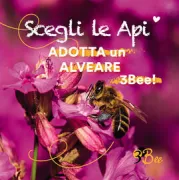 Copertina libro 9788833777276
