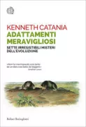 Copertina libro <b>Adattamenti meravigliosi<br></b>(titolo originale o altro titolo: <i>Great adaptations</i>)