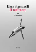 Copertina libro <b>Il tuffatore</b>