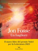 Copertina libro <b>Un bagliore<br></b>(titolo originale o altro titolo: <i>Kvitleik</i>)