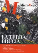 Copertina libro MICROMEGA 22020