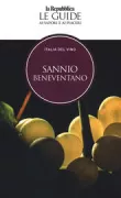 Copertina libro ITALIA DEL VINOSANNIO BENEVENTANO