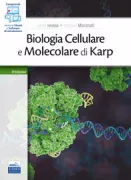 Copertina libro <b>Biologia cellulare e molecolare di Karp<br></b>(titolo originale o altro titolo: <i>Karp's cell and molecular biology</i>)