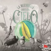Copertina libro <b>La meraviglia caduta dal cielo<br></b>(titolo originale o altro titolo: <i>It fell from the sky</i>)