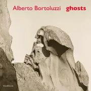 Copertina libro <b>Alberto Bortoluzzi</b>