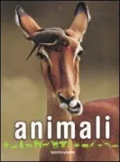 Copertina libro 9788837042370