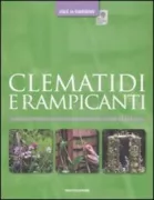 Copertina libro <b>Clematidi e rampicanti<br></b>(titolo originale o altro titolo: <i>Clematis and climbers</i>)