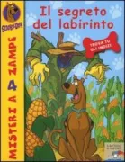 Copertina libro 9788838479694