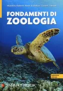 Copertina libro 9788838615399