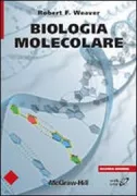 Copertina libro <b>Biologia molecolare<br></b>(titolo originale o altro titolo: <i>Molecular biology</i>)
