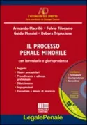 Copertina libro <b>Il processo penale minorile</b>