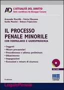 Copertina libro <b>Il processo penale minorile</b>