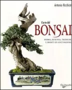 Copertina libro <b>L'arte del bonsai<br></b>(titolo originale o altro titolo: <i>Larte del bonsai</i>)