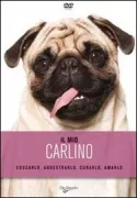 Copertina libro <b>Il mio Carlino</b>