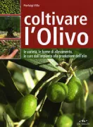 Copertina libro <b>Coltivare l'olivo</b>