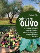 Copertina libro <b>Coltivare l'olivo</b>