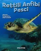 Copertina libro <b>Rettili anfibi pesci</b>