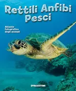 Copertina libro <b>Rettili anfibi pesci</b>