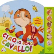 Copertina libro 9788841886243