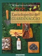 Copertina libro 9788841896167