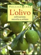 Copertina libro <b>L'olivo</b>