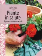 Copertina libro 9788844042981